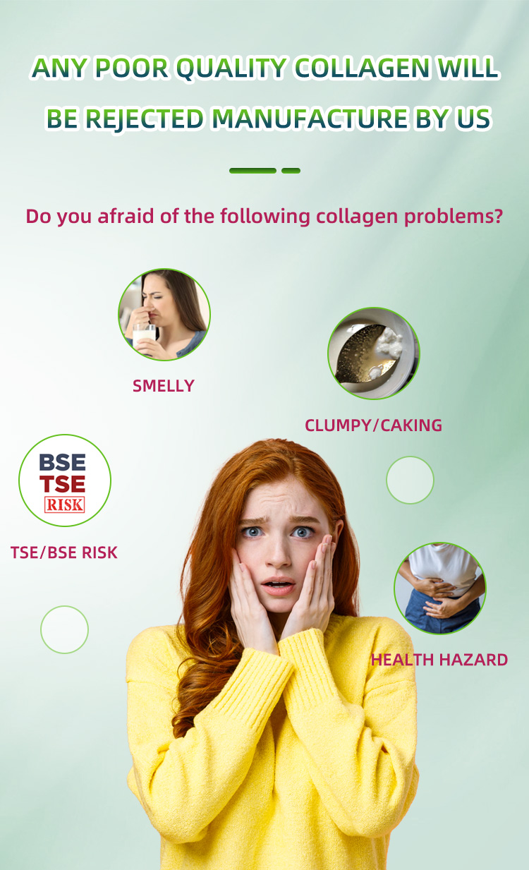 Pea Collagen Peptide Powder Hydrolized Pea Protein Wholesale